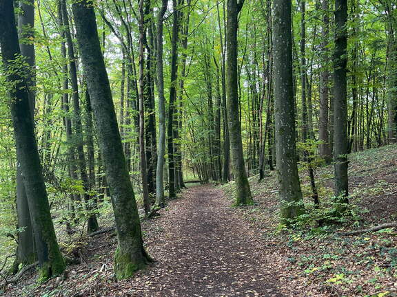 22-10-07 11-43-35 2442